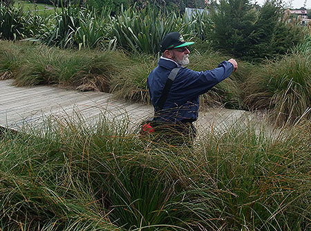 Disc Golf New Zealand